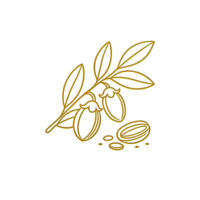 Jojoba